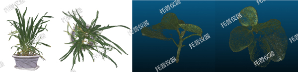 温室型高通量植物表型采集分析平台