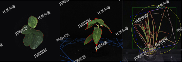 温室型高通量植物表型采集分析平台