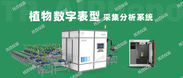 植物数字表型采集分析系统—高通量、高精度，植物表型测量理想之选!